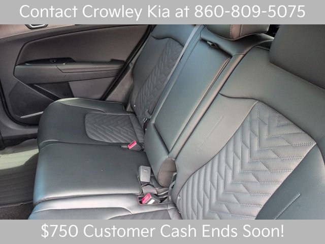 New 2026 Panthera Metal Kia X-Line image 20