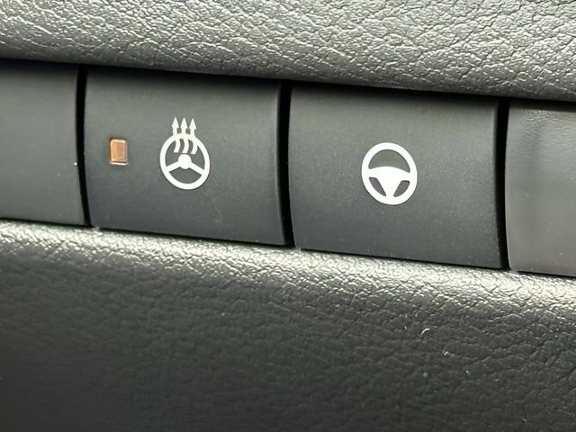 2025 Nissan Kicks SR AWD - Photo 21