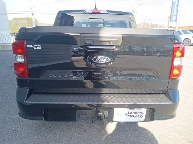 New 2026 Shadow Black Ford Lobo™ image 4