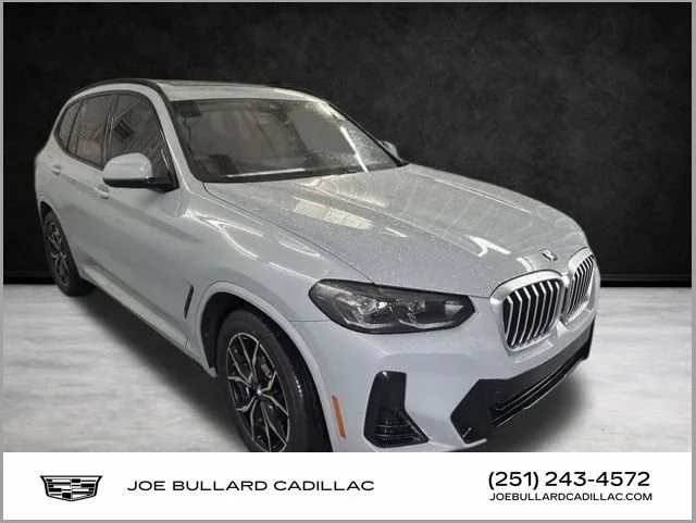 2022 BMW X3 xDrive30i's photo