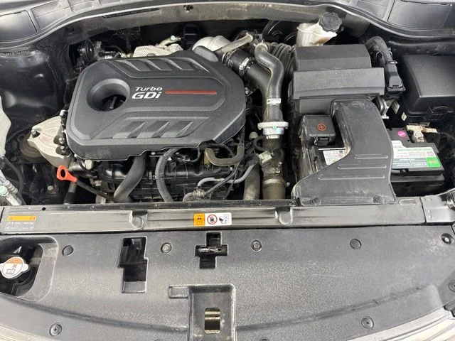 Used 2017 Black Hyundai 2.0T Ultimate image 17