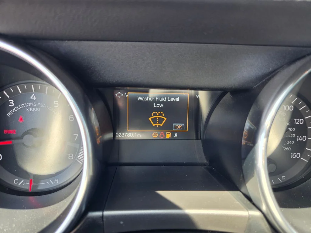Used 2019 Black Ford GT image 25