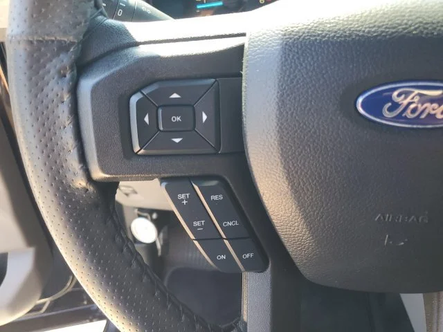 Used 2018 Shadow Black Ford XL image 16