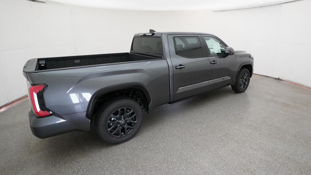 New 2026 Magnetic Gray Metallic Toyota Platinum image 10