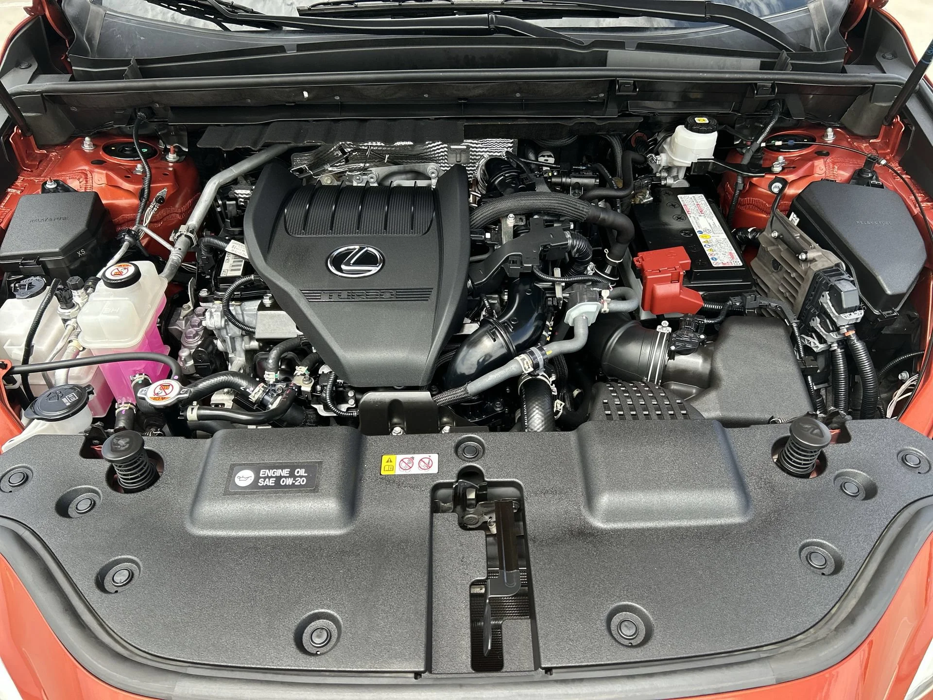 Used 2023 Cadmium Orange Lexus NX 350 image 18