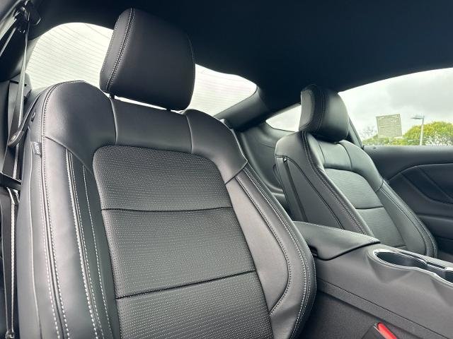 2025 Ford Mustang GT Premium Fastback - Photo 15