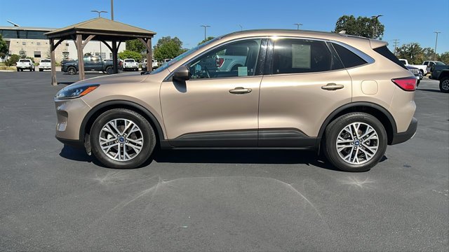 Used 2021 GOLD Ford SEL image 6