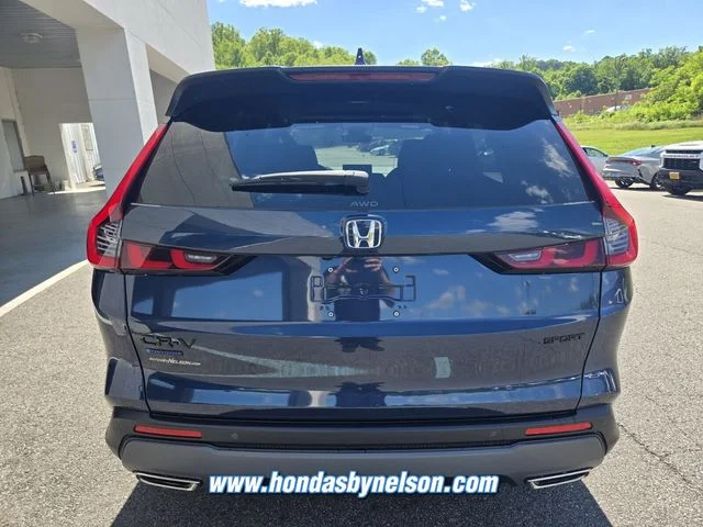 New 2026 Blue Honda Sport-L image 5