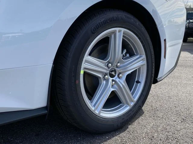 New 2026 White Ford EcoBoost image 9