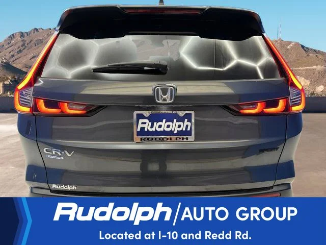 Used 2024 Green Honda Sport image 4