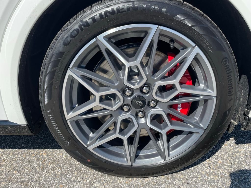 2025 Ford Mustang Mach-E GT - Photo 6