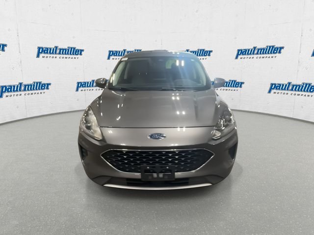 Used 2021 Gray Ford SE image 4