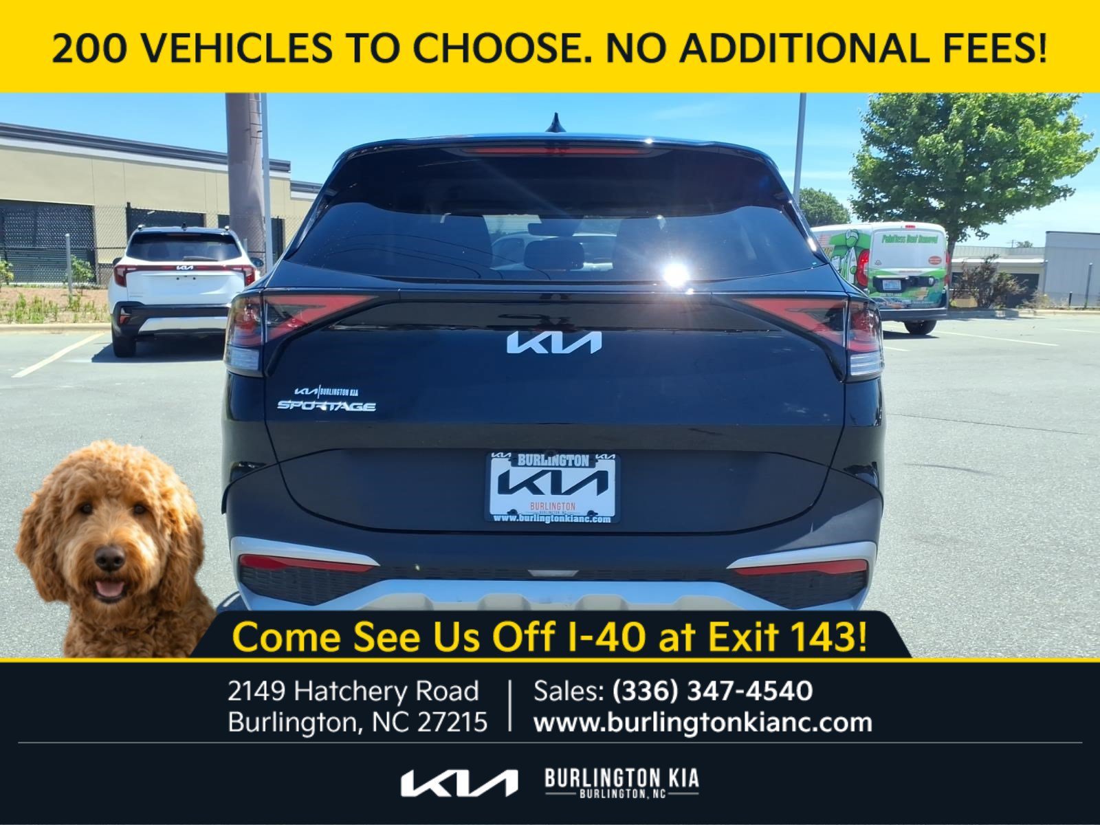 Certified Used 2024 Ebony Black Kia EX image 24
