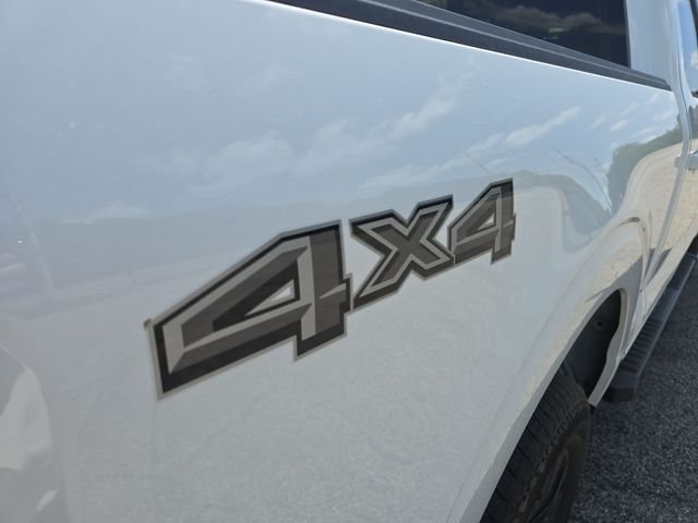 Photo 7