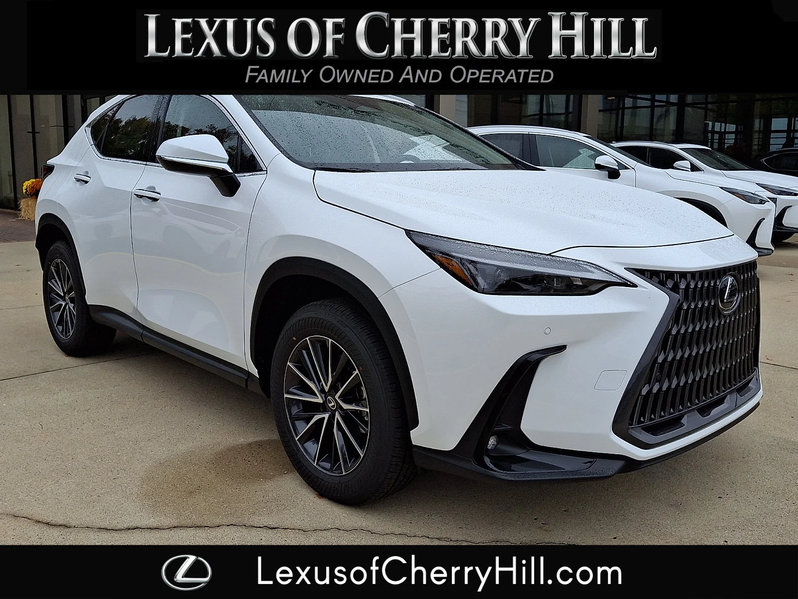 2026 Lexus NX