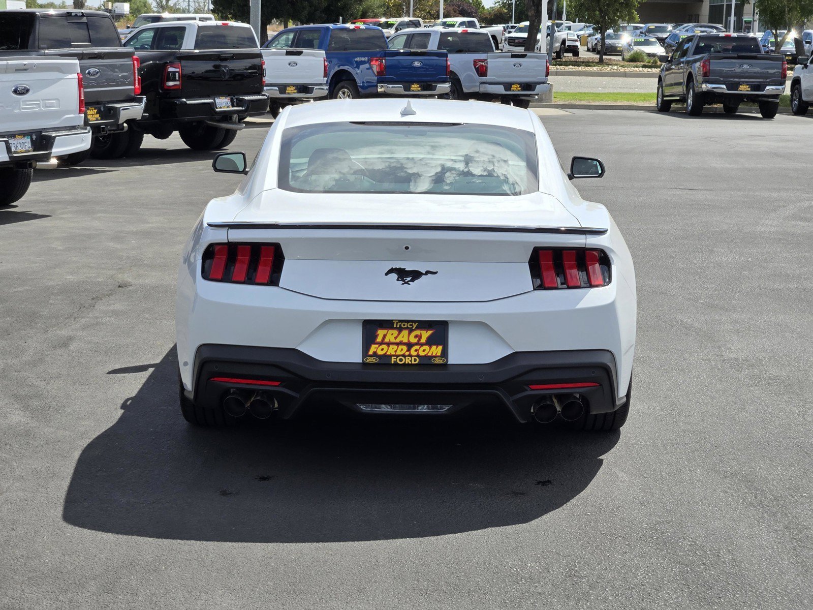 New 2026 Oxford White Ford EcoBoost® Premium Fastback image 5
