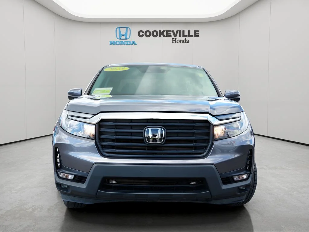 Used 2023 Modern Steel Honda RTL image 4