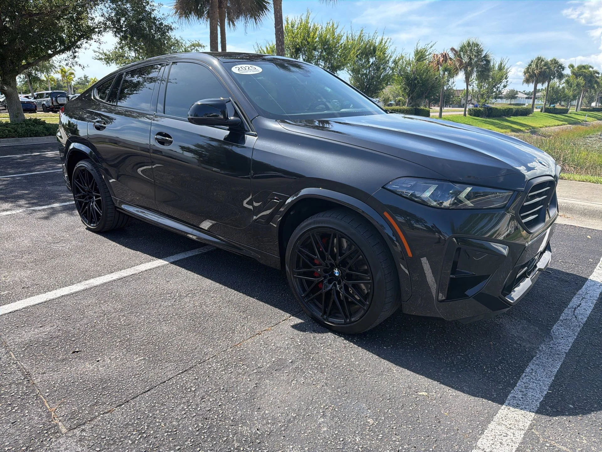 2025 BMW X6 M Competition's photo