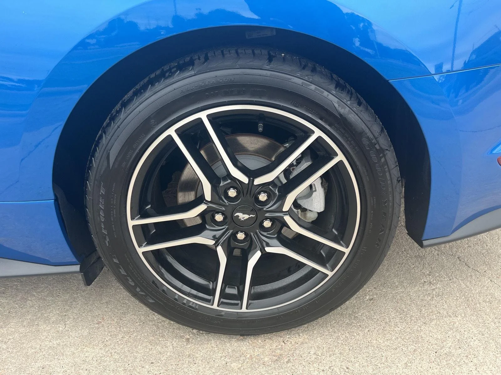Used 2021 Velocity Blue Metallic Ford EcoBoost image 7