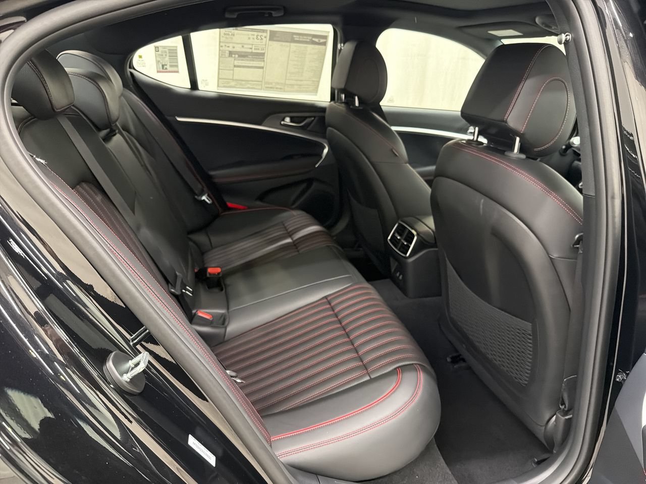 New 2027 Vik Black Genesis Standard image 20
