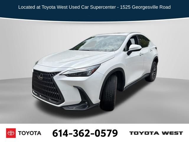 2023 Lexus NX 350h 350h AWD's photo