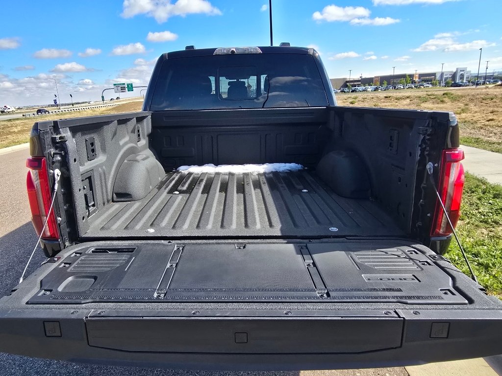Used 2025 Agate Black Metallic Ford Raptor image 11