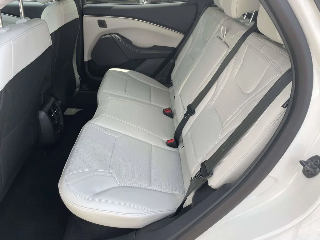 New 2026 White Ford Premium image 12
