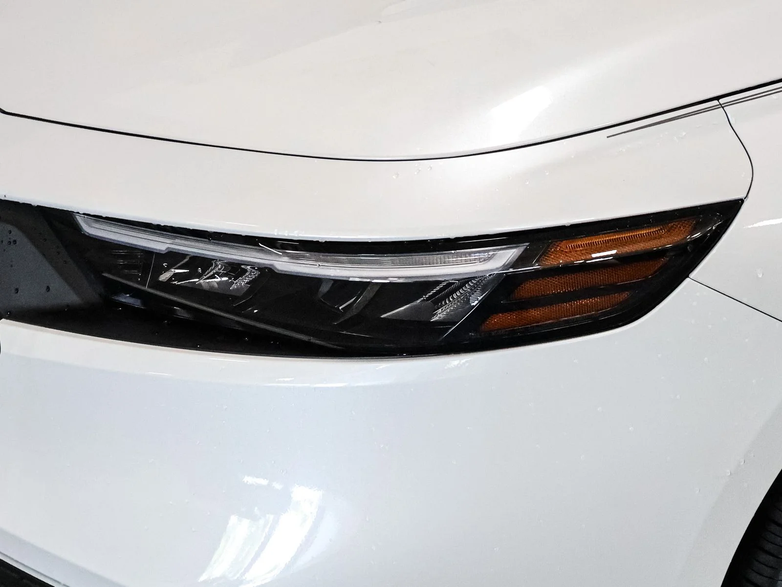 New 2026 Platinum White Pearl Honda LX image 14