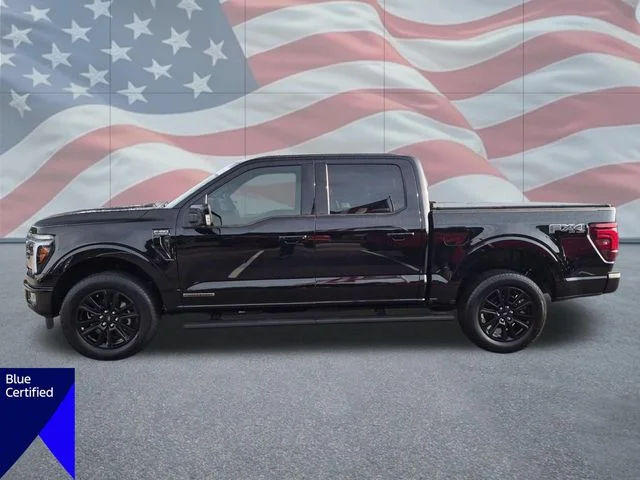 Used 2025 Black Ford Platinum image 6