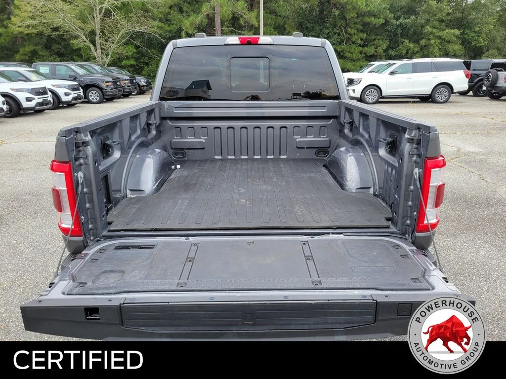 Used 2023 Gray Ford Platinum image 14
