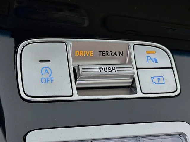 New 2026 White Genesis 2.5T image 20