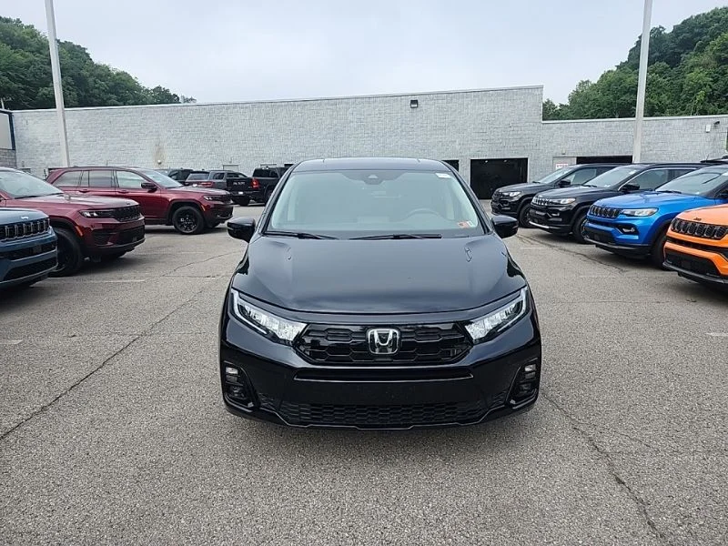 Used 2025 Black Honda Elite image 2