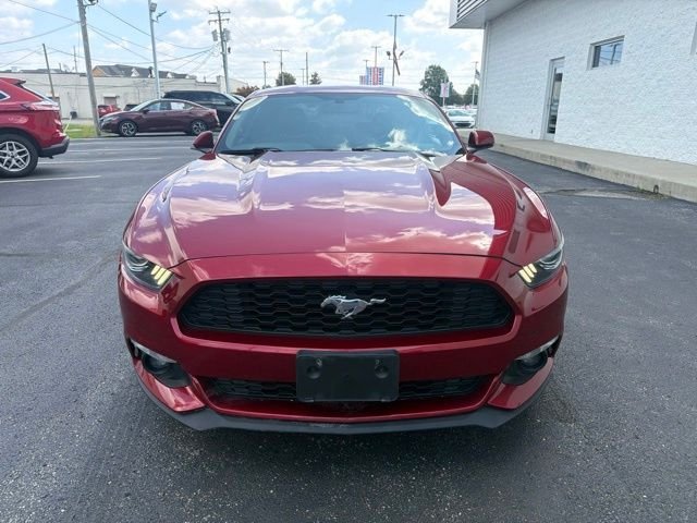 Used 2017 Red Ford EcoBoost Premium image 2