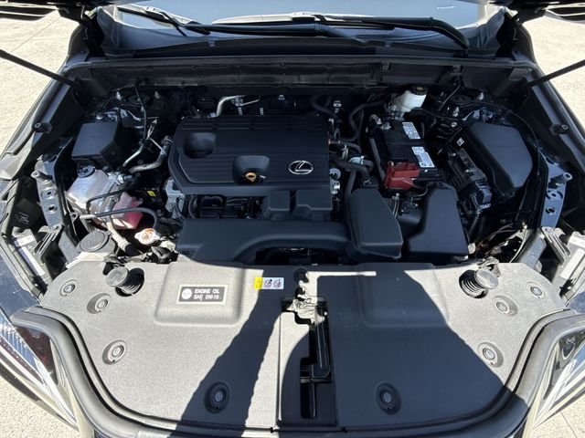 2024 Lexus NX 250 - Photo 26