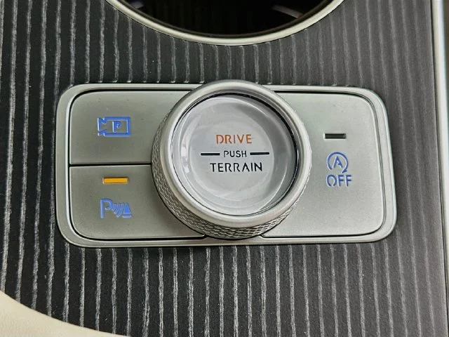 New 2027 Blue Genesis 3.5T image 21