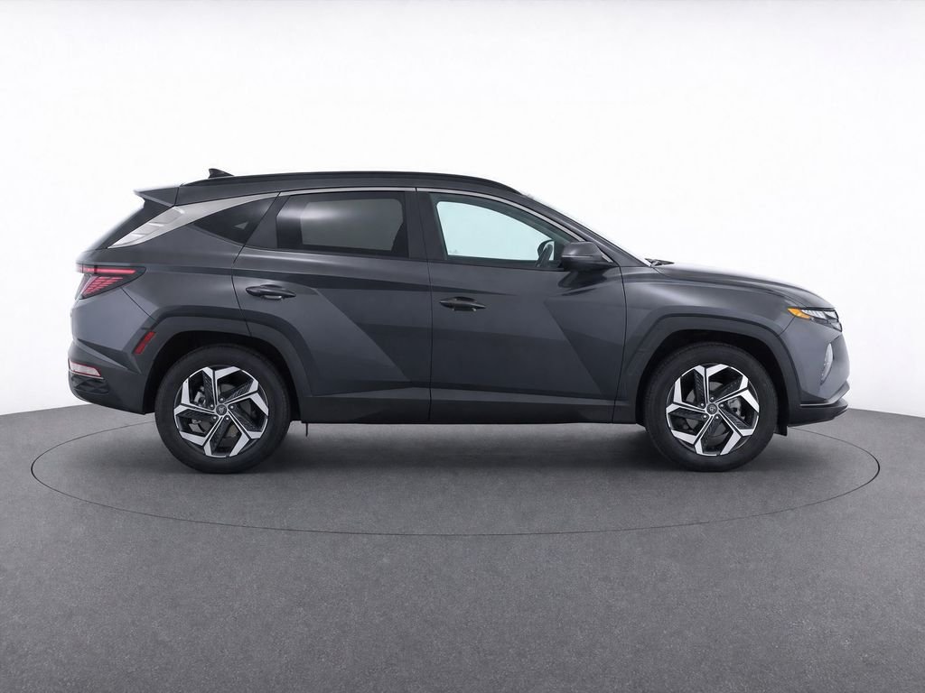 Photo 31