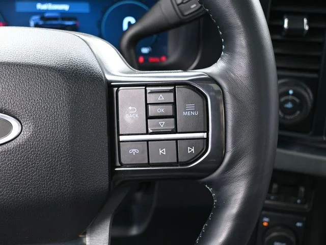 2025 Ford F-250 Super Duty Platinum - Photo 31
