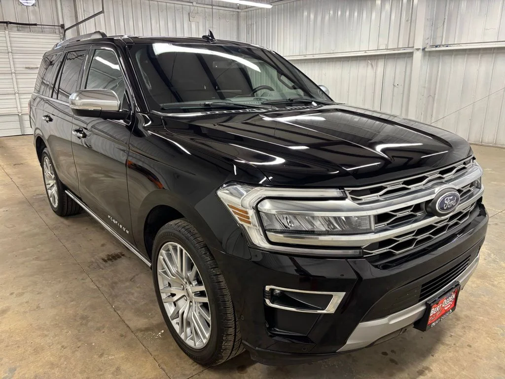 2024 Ford Expedition Platinum's photo