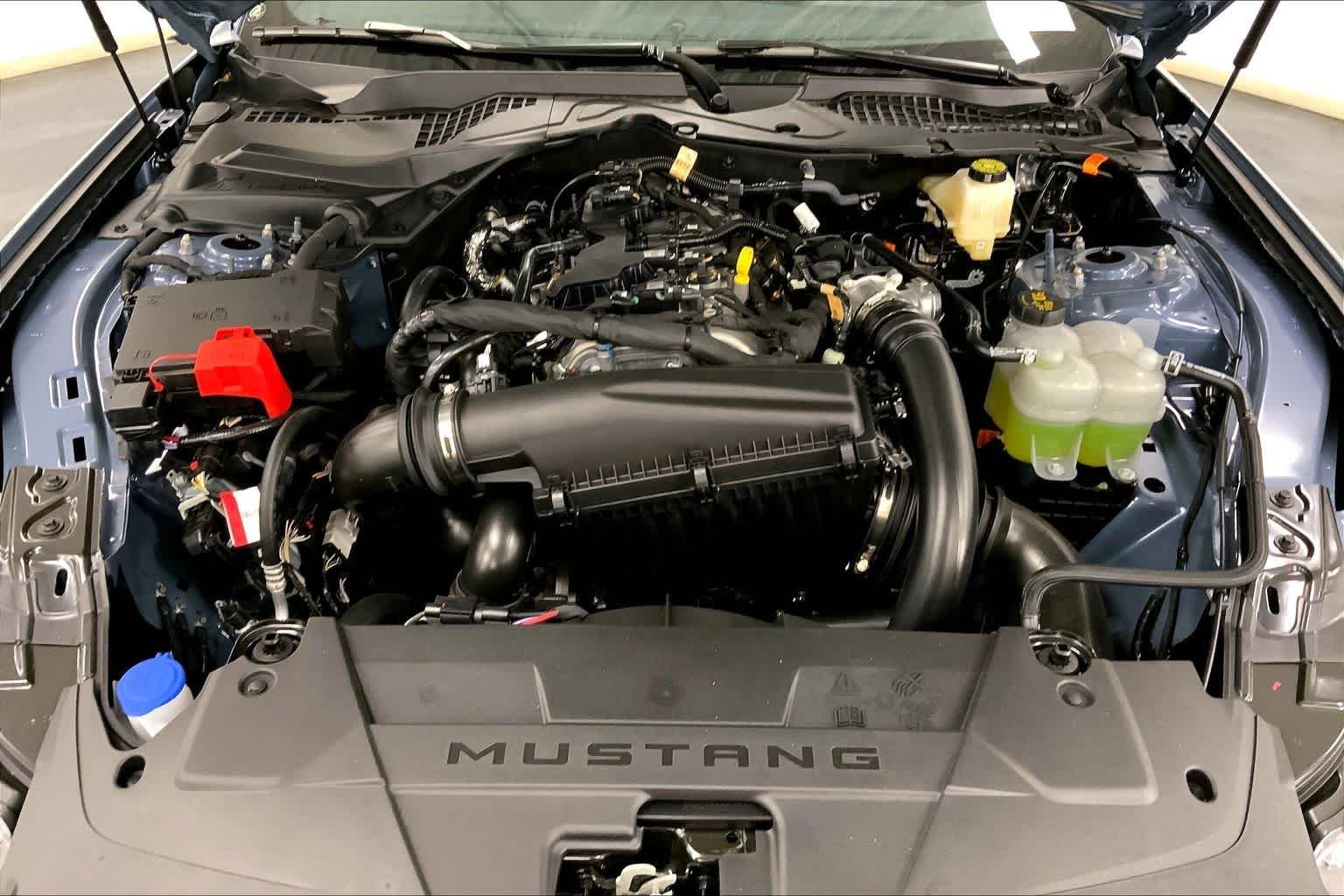 New 2026 Vapor Blue Metallic Ford EcoBoost® Fastback image 15