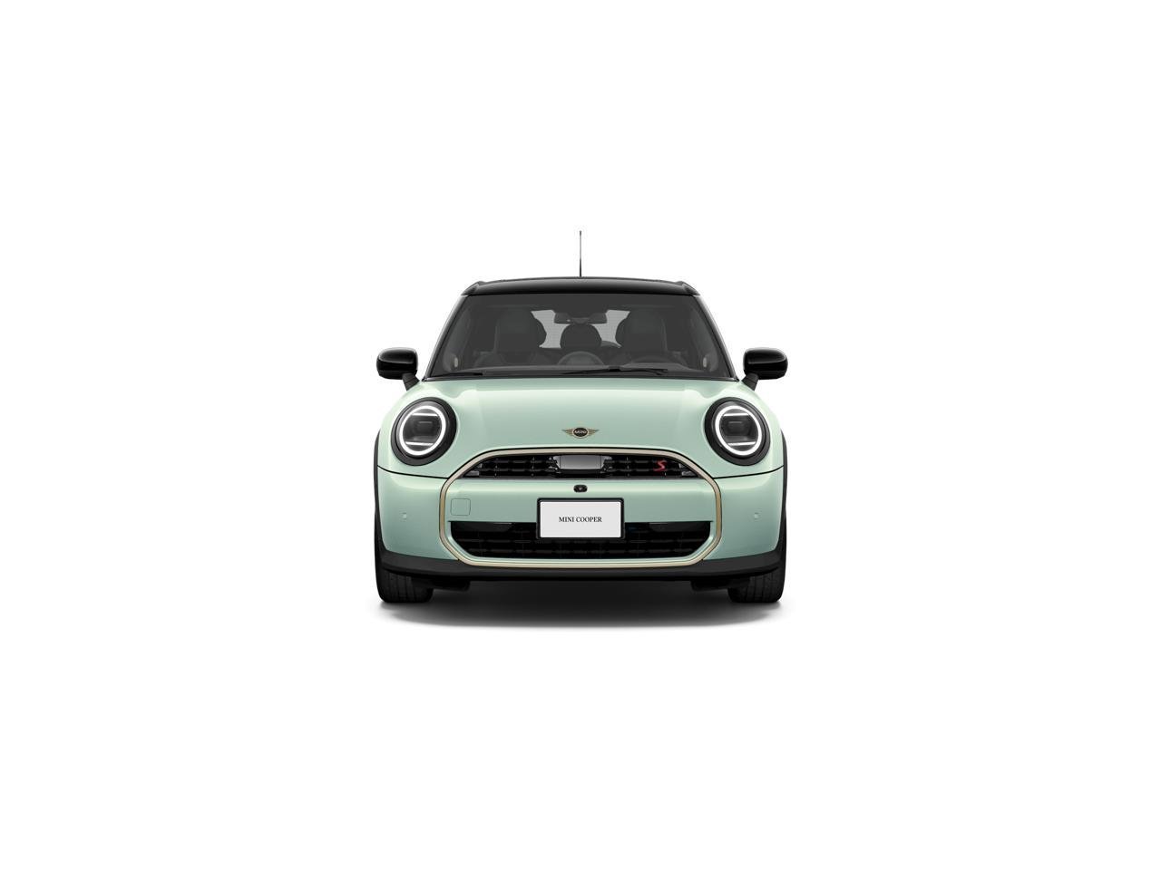 New 2026 Ocean Wave Green Metallic MINI ICONIC image 2