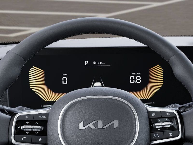 New 2026 Panthera Metal Kia LXS image 21