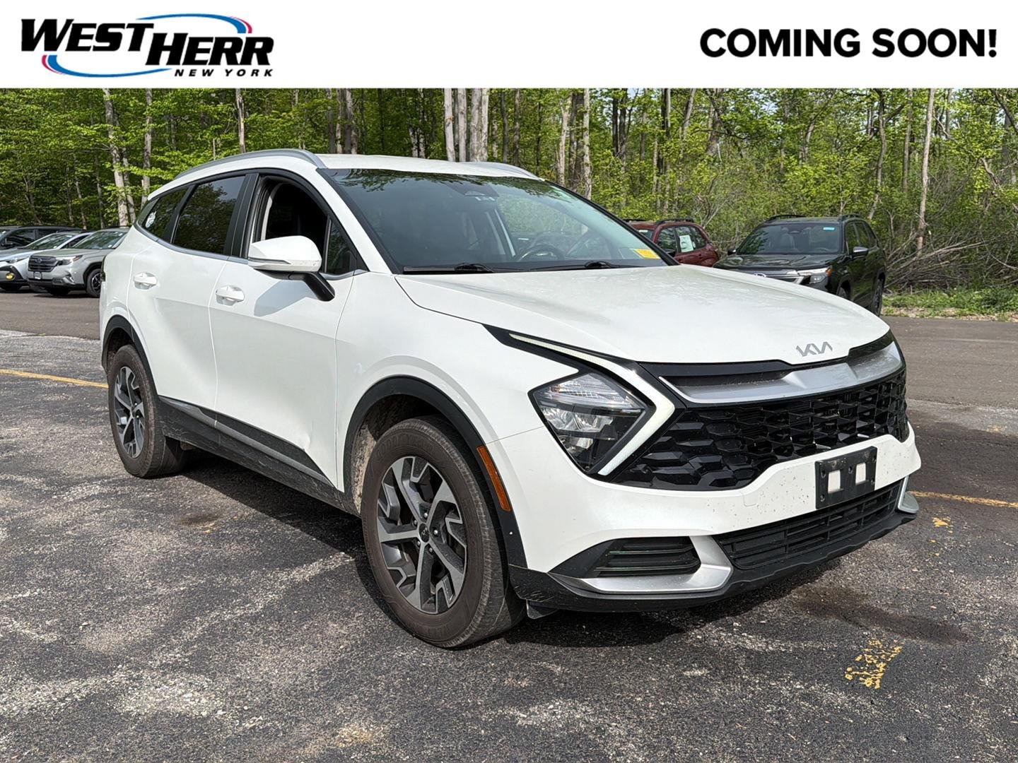 2023 Kia Sportage 1.6 EX Hybrid AT AWD's photo