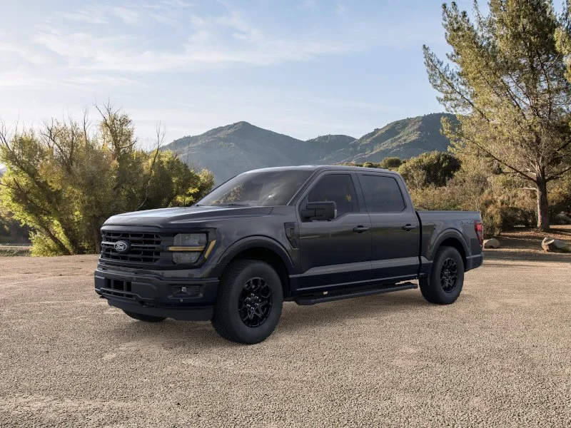 New 2025 Agate Black Metallic Ford XLT image 24