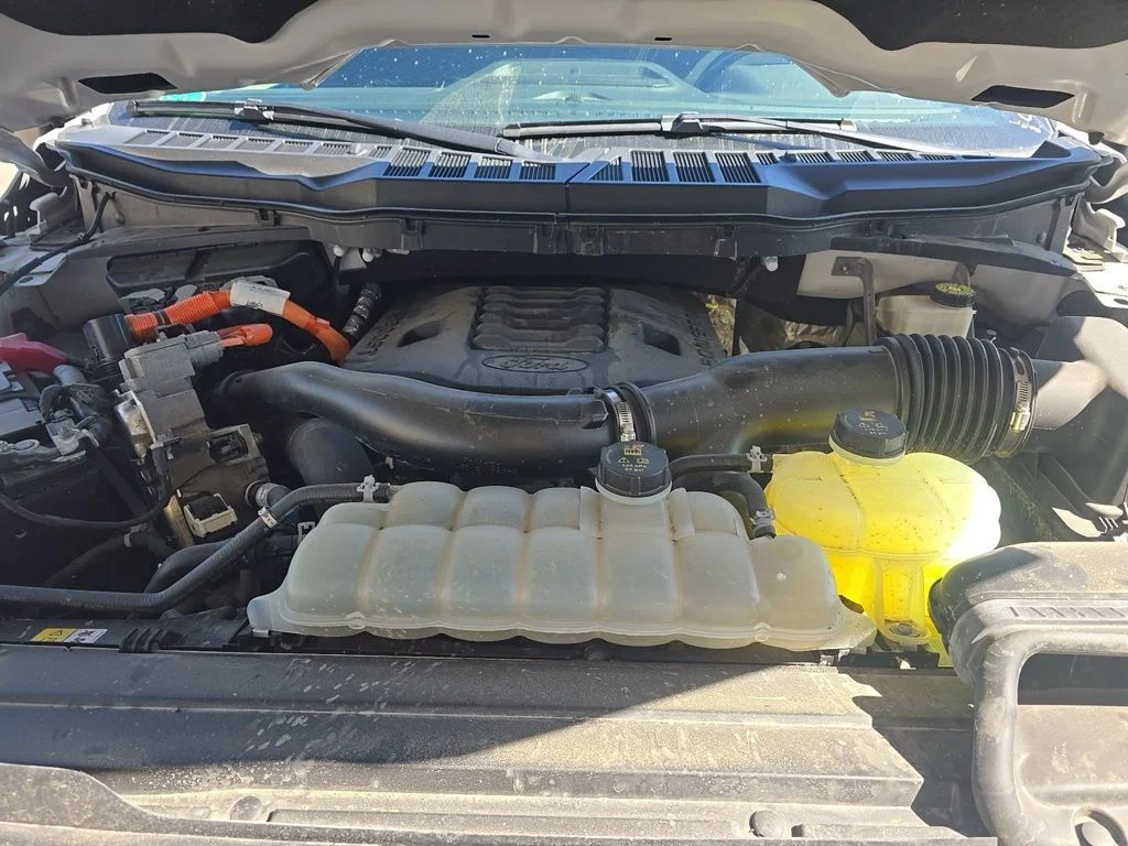 Used 2022 Oxford White Ford  image 6