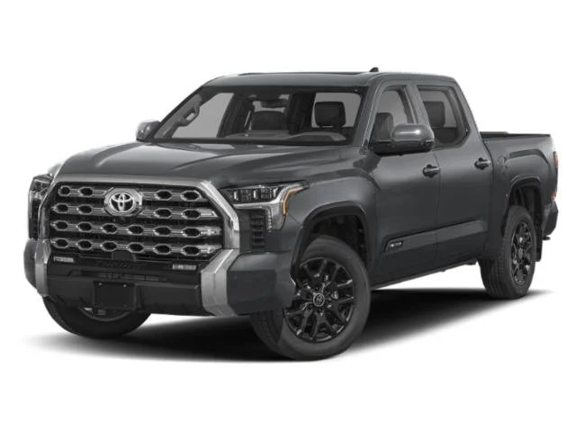 New 2026 Magnetic Gray Metallic Toyota Platinum image 1