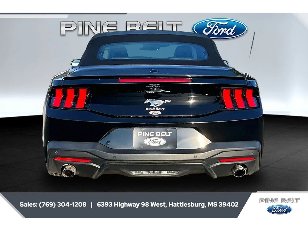 Used 2024 BLACK Ford EcoBoost Convertible image 4
