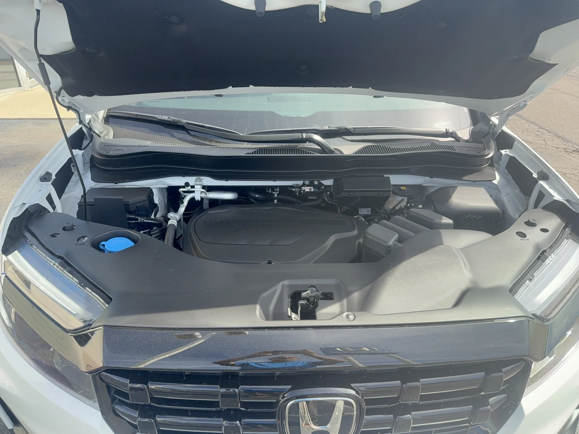 New 2026 Platinum White Pearl Honda Black Edition image 16
