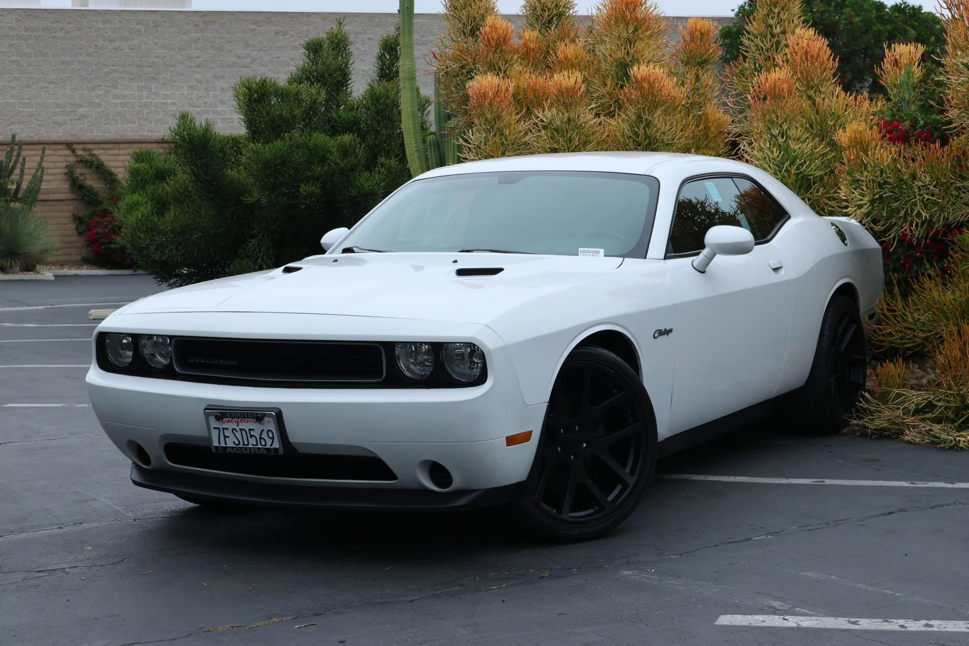 2013 Dodge Challenger SXT's photo