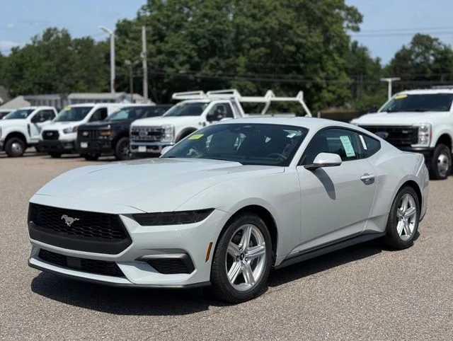 New 2026 Avalanche Gray Ford EcoBoost® Fastback image 8