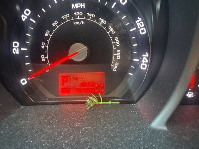 Used 2011 Red Kia LX image 12